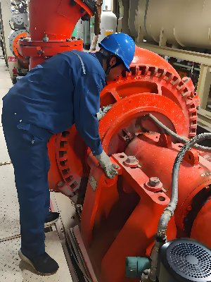 صيانة كينغدا 2