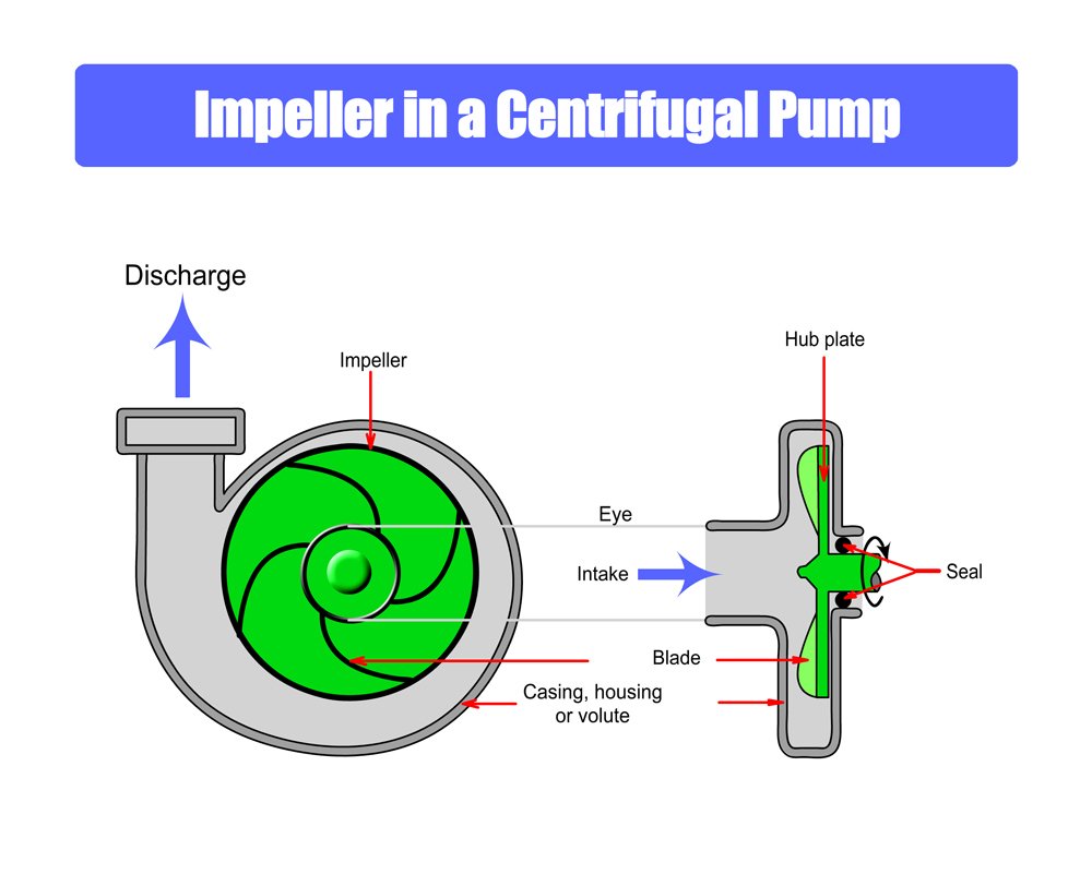 Impeller-in-Centrifugal-Pump