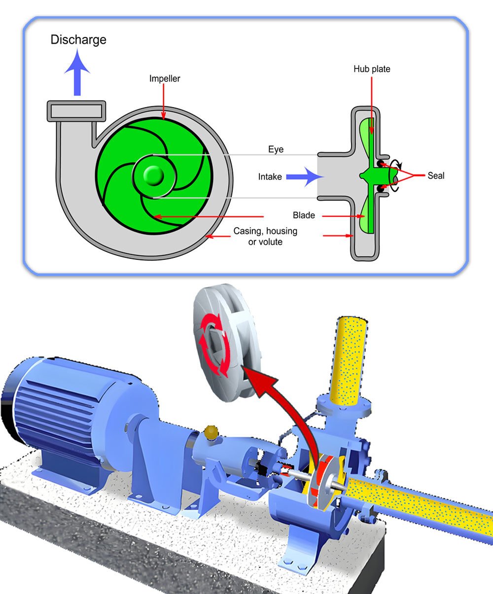 Horizontal Centrifugal Pump Working Principle